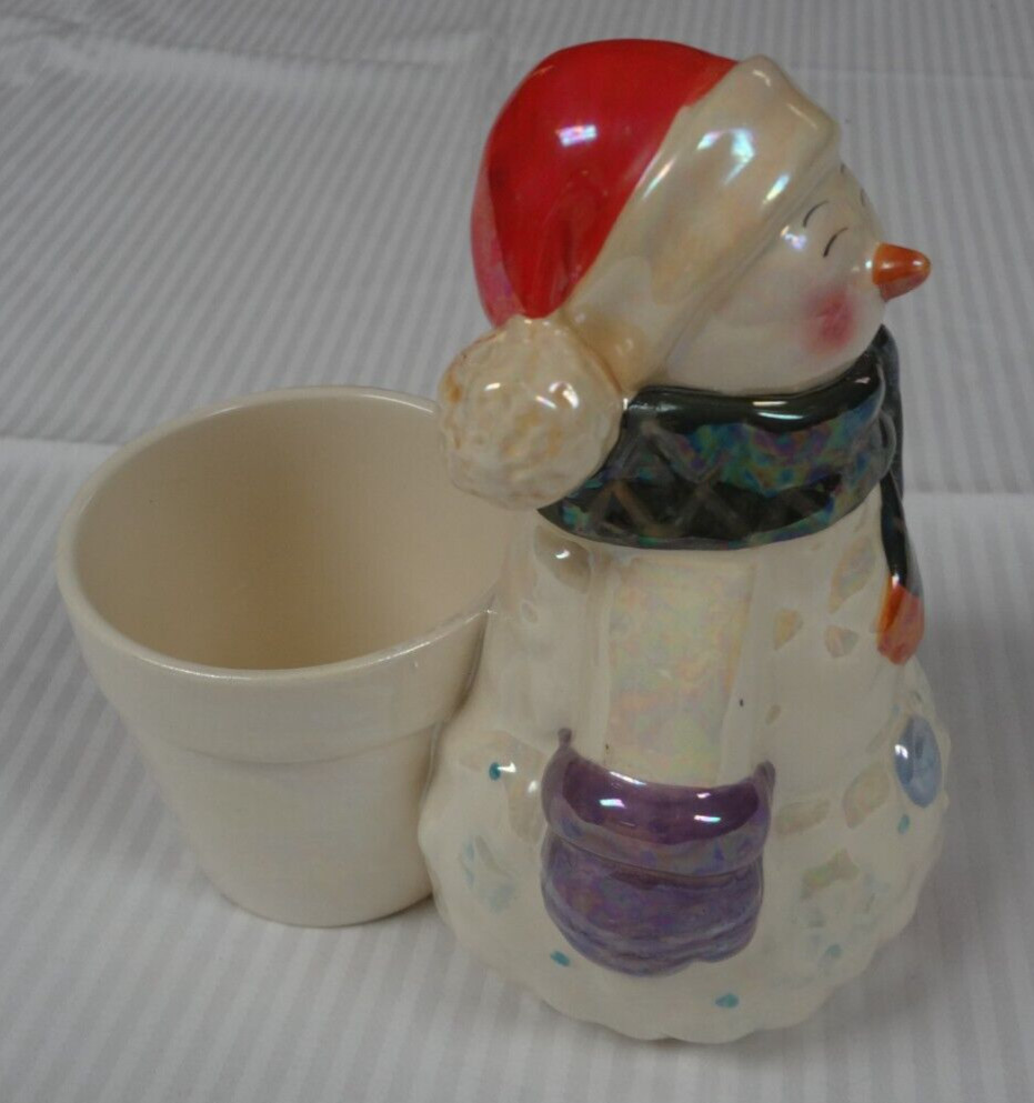 Bloom Rite Christmas Snowman Flower Pot Planter White Iridescent Coat Hat Scarf