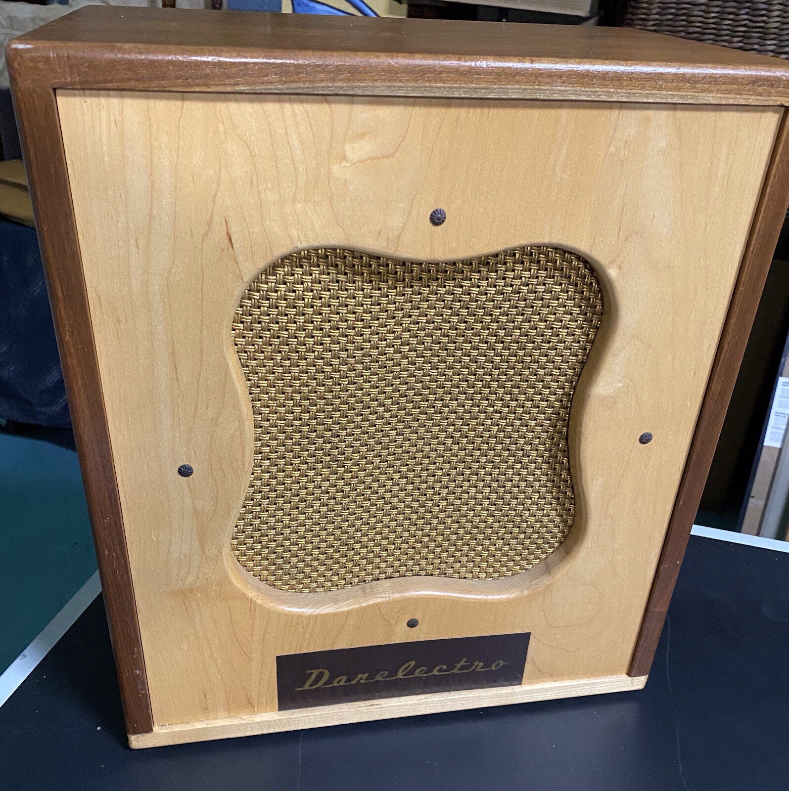 50’S VINTAGE DANELECTRO GUITAR AMPLIFIER