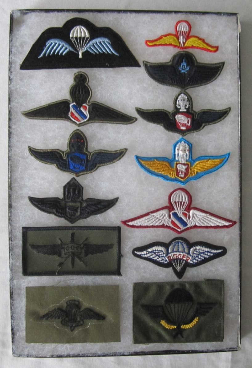Collection Various Military Parachute Jump Wings British Army US Thailands Case