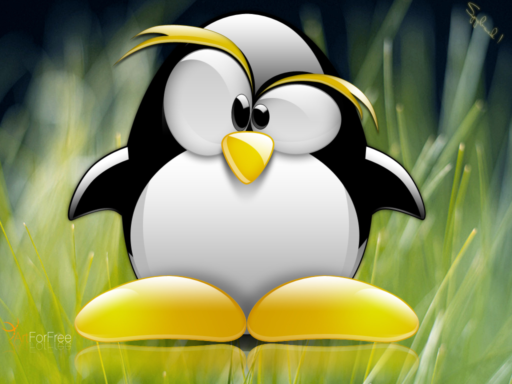 LINUX UBUNTU 64 BIT OPERATING SYSTEM-DUMP WINDOWS 7, GAMES PACKAGE INC 18.10 DVD
