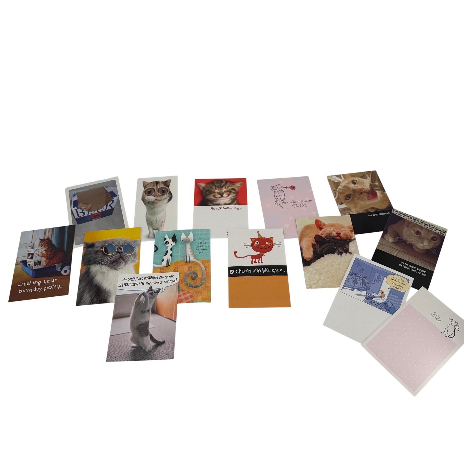 Birthday Cards From the Cats LOT of 14 Handwritten Cat Lover Ephemera Collection