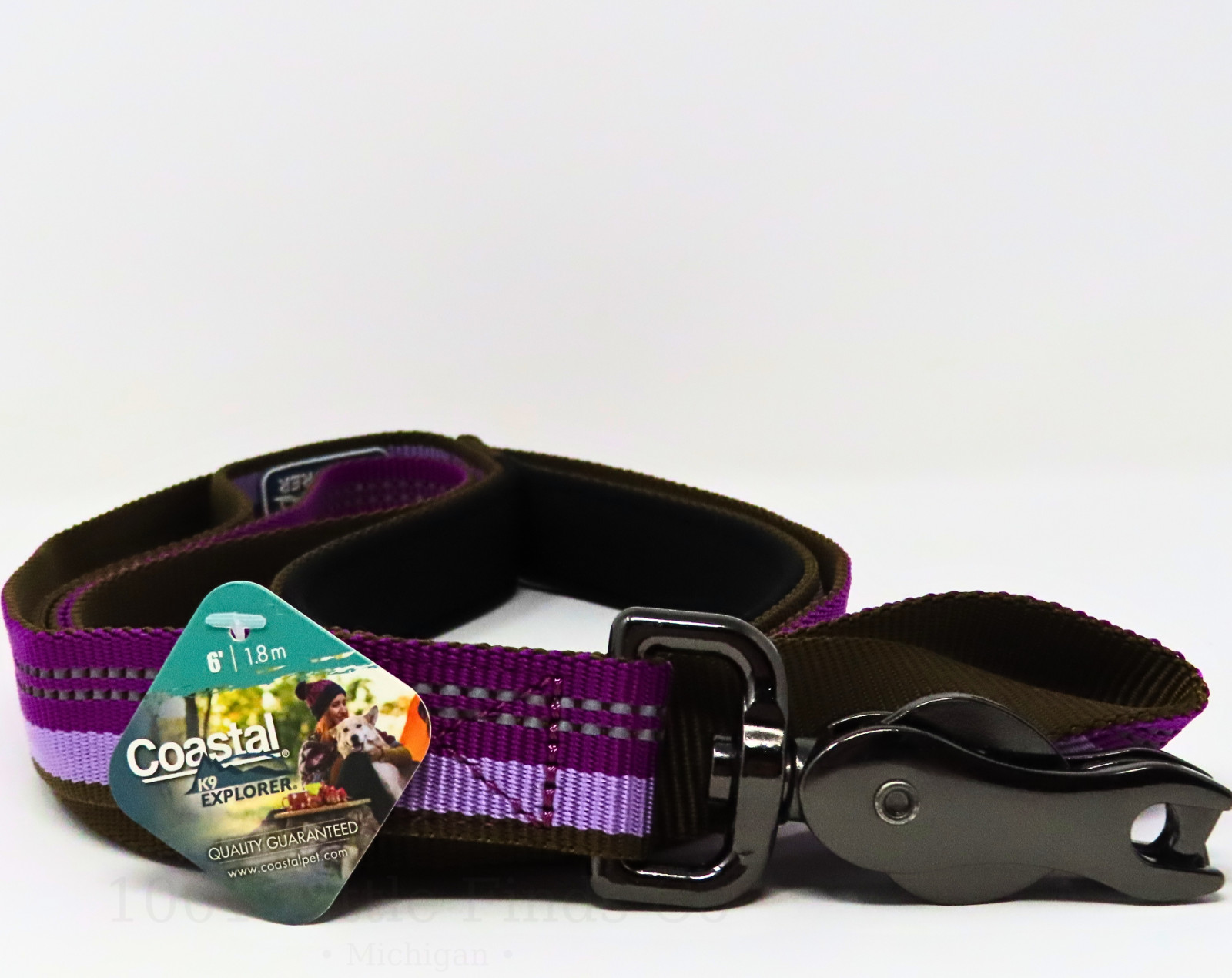 Coastal K9 Explorer 6 ft Reflective Dog Leash Purple Padded Handle Heavy Duty