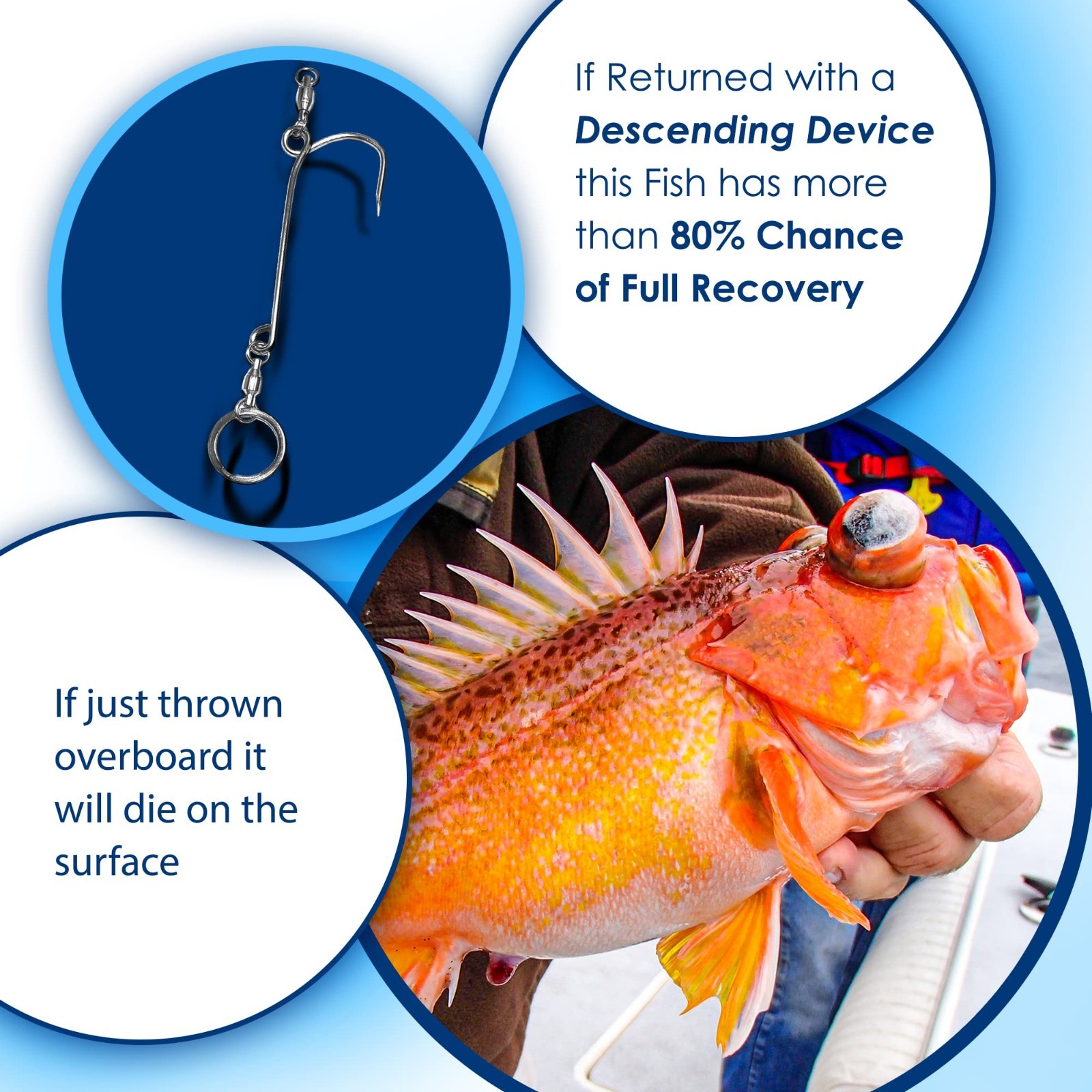 Compact Fish Descending Device - Reliable Release Tool for Red Snapper, NOAA Com