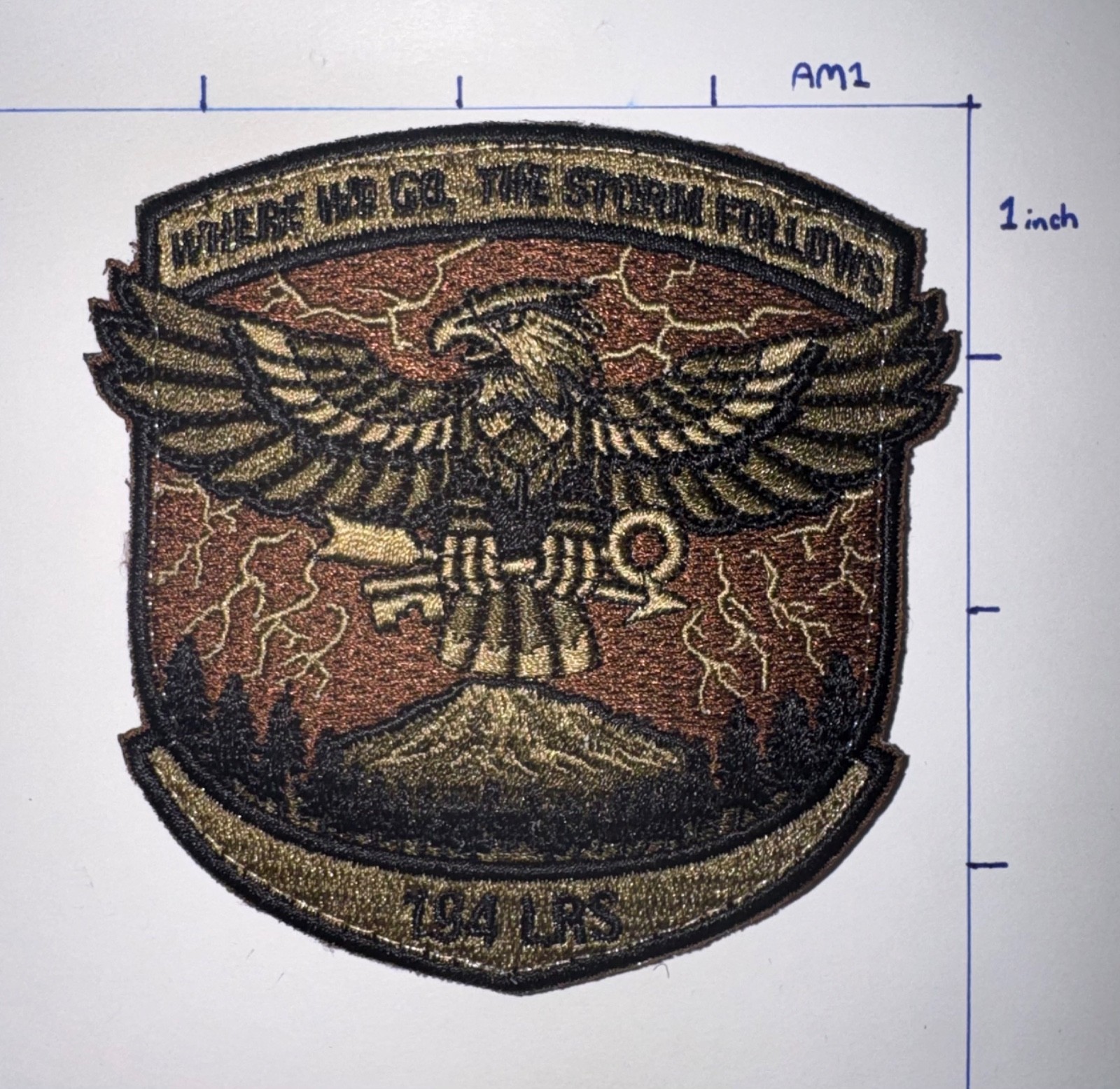 USAF 194th Logistics Readiness Squadron Patch
