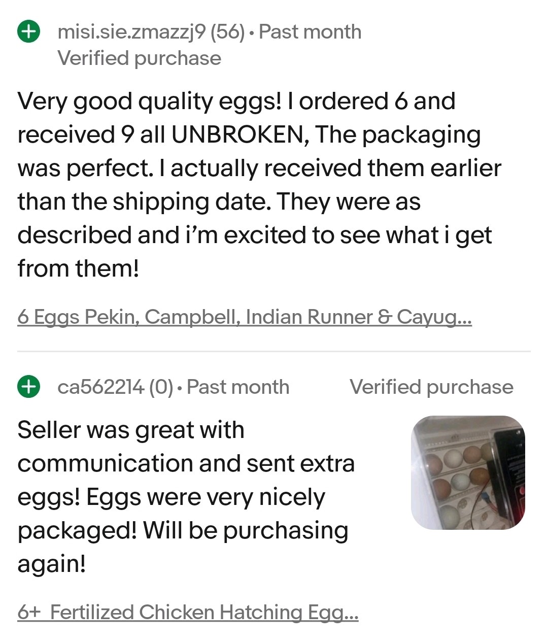 6+ Cayuga & Ancona fertilized duck eggs