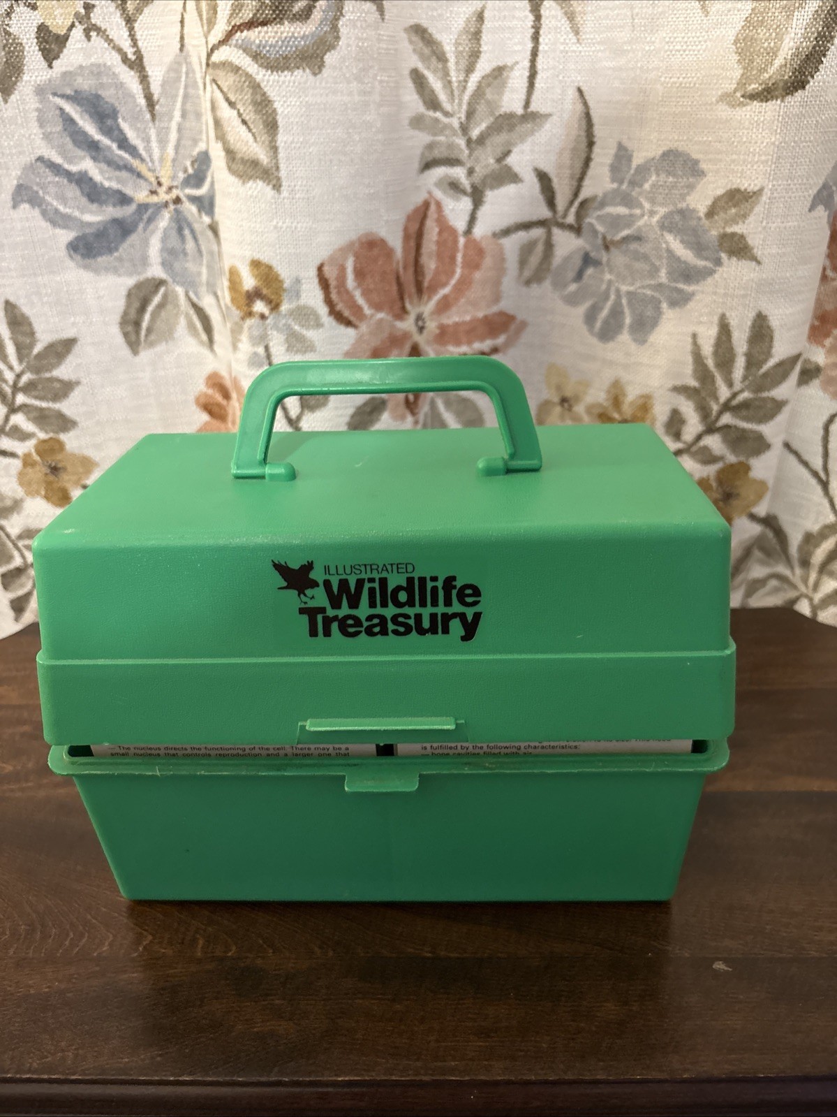 Vintage vtg 1970’s Illustrated Wildlife Treasury Boxed Set 600+ Wildlife Cards
