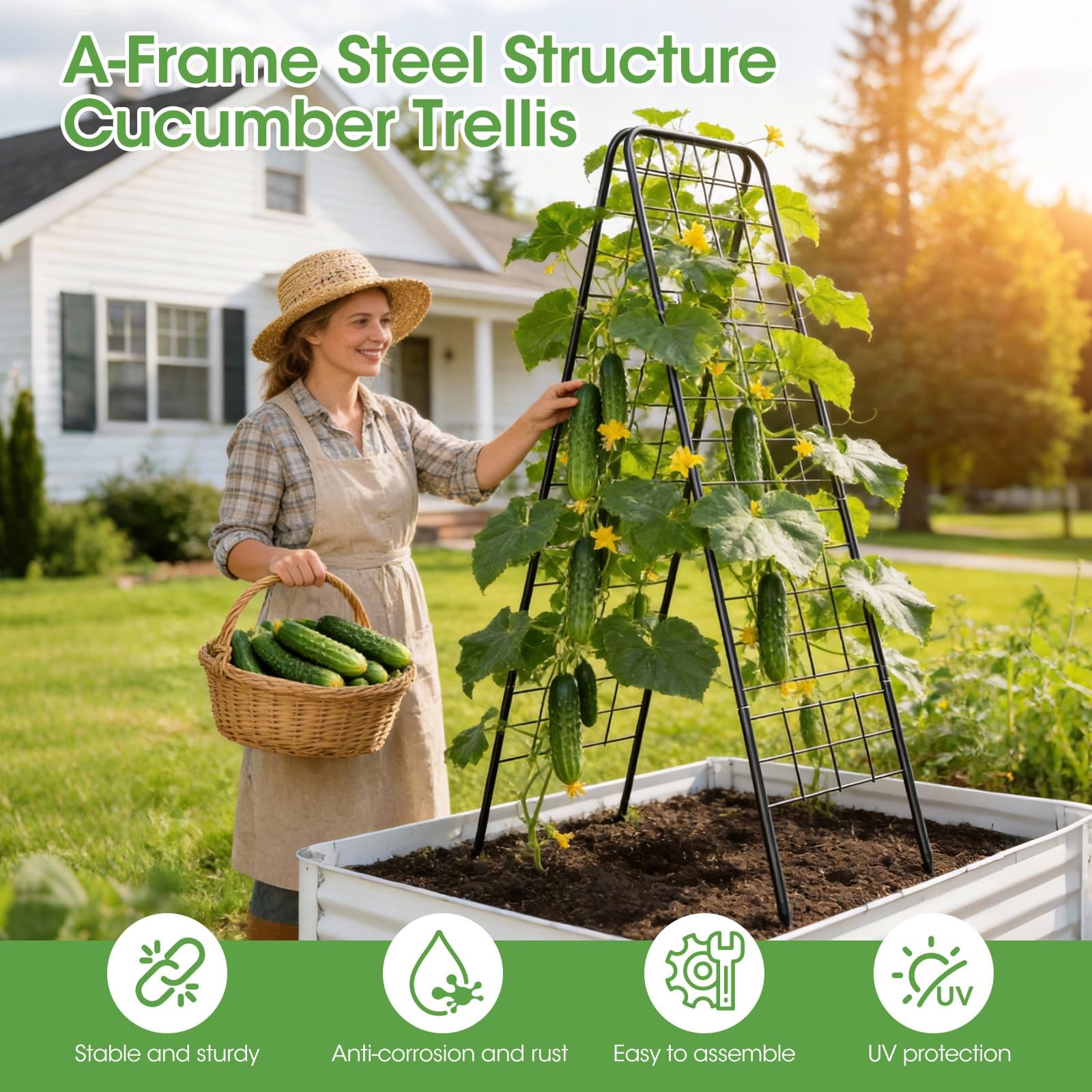 Heavy Duty Cucumber Trellis，50"x17" Adjustable A-Frame Trellis for black