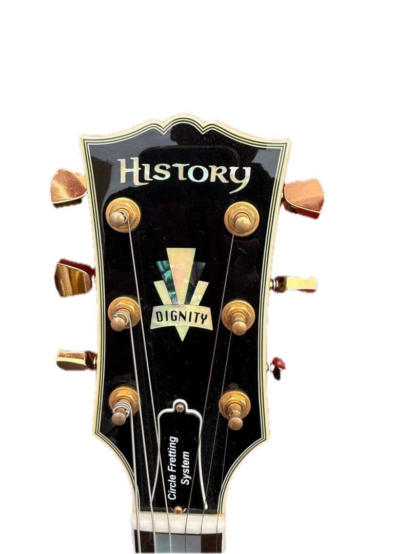 History Dignity Electric Guitar