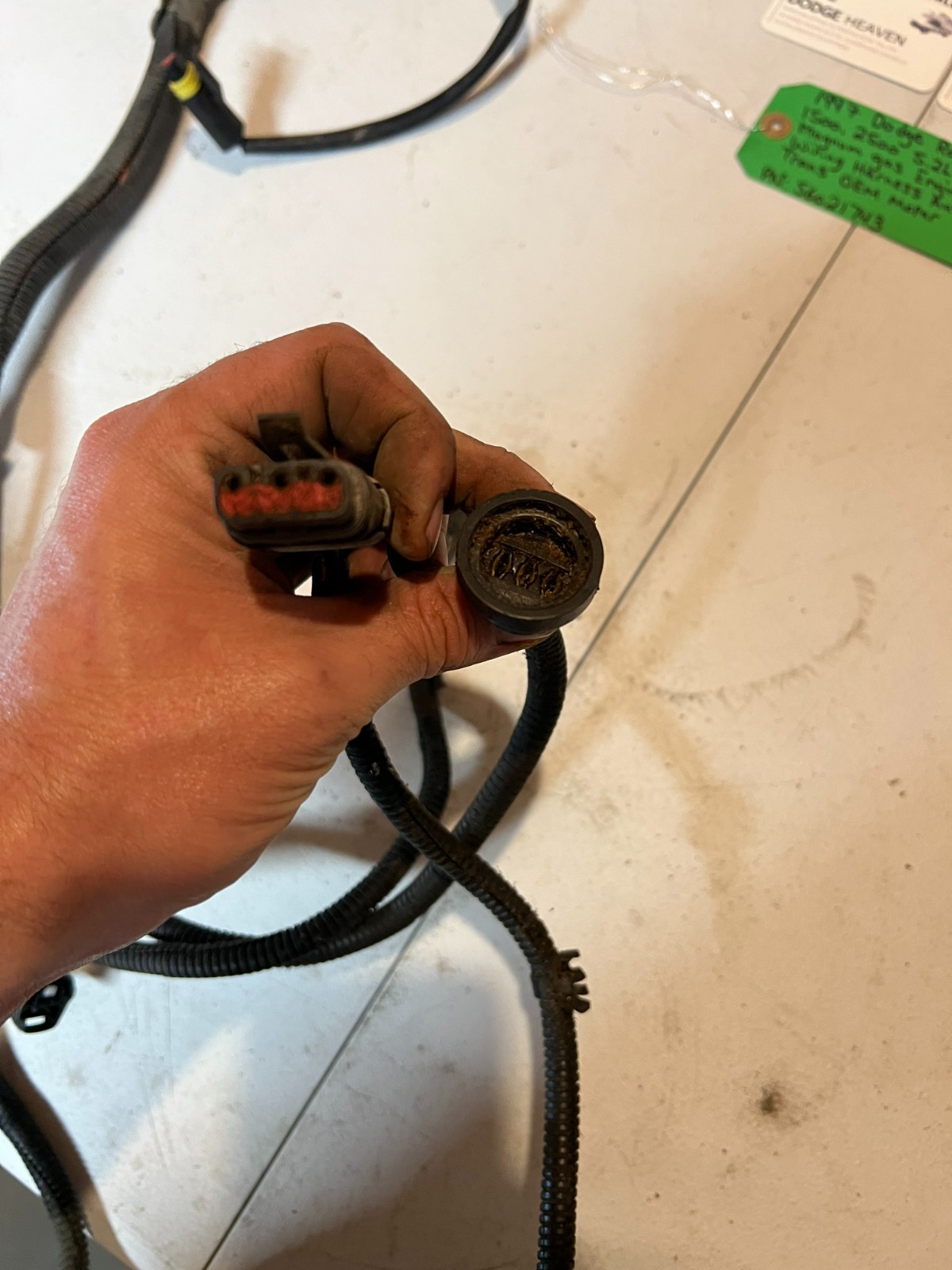 1997 Dodge Ram 5.2L 5.9L Magnum Gas Engine Transmission Wiring Harness 56021743
