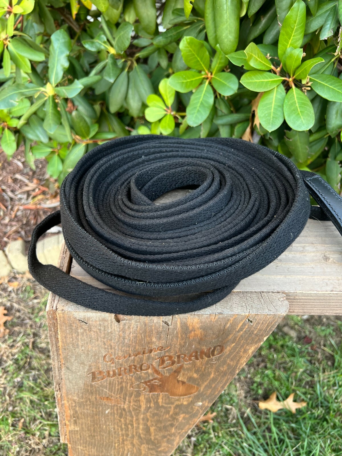 Leaders Training Reins