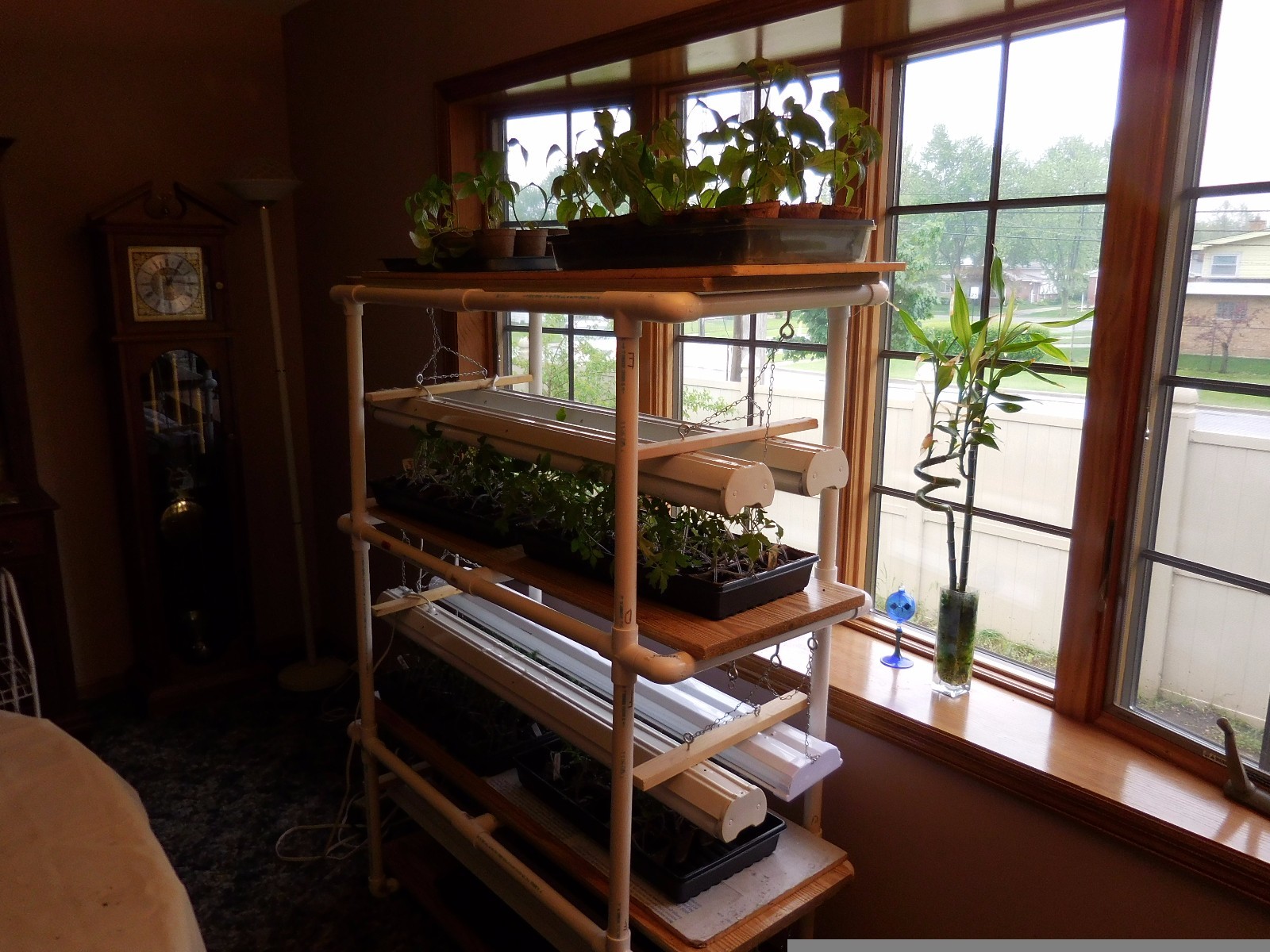 seed starting light stand plus bonus