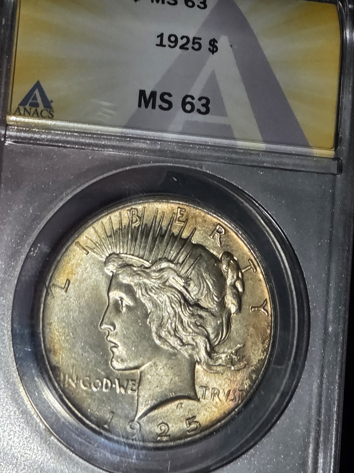 1925 $1 Peace Dollar ANACS MS63 Toned