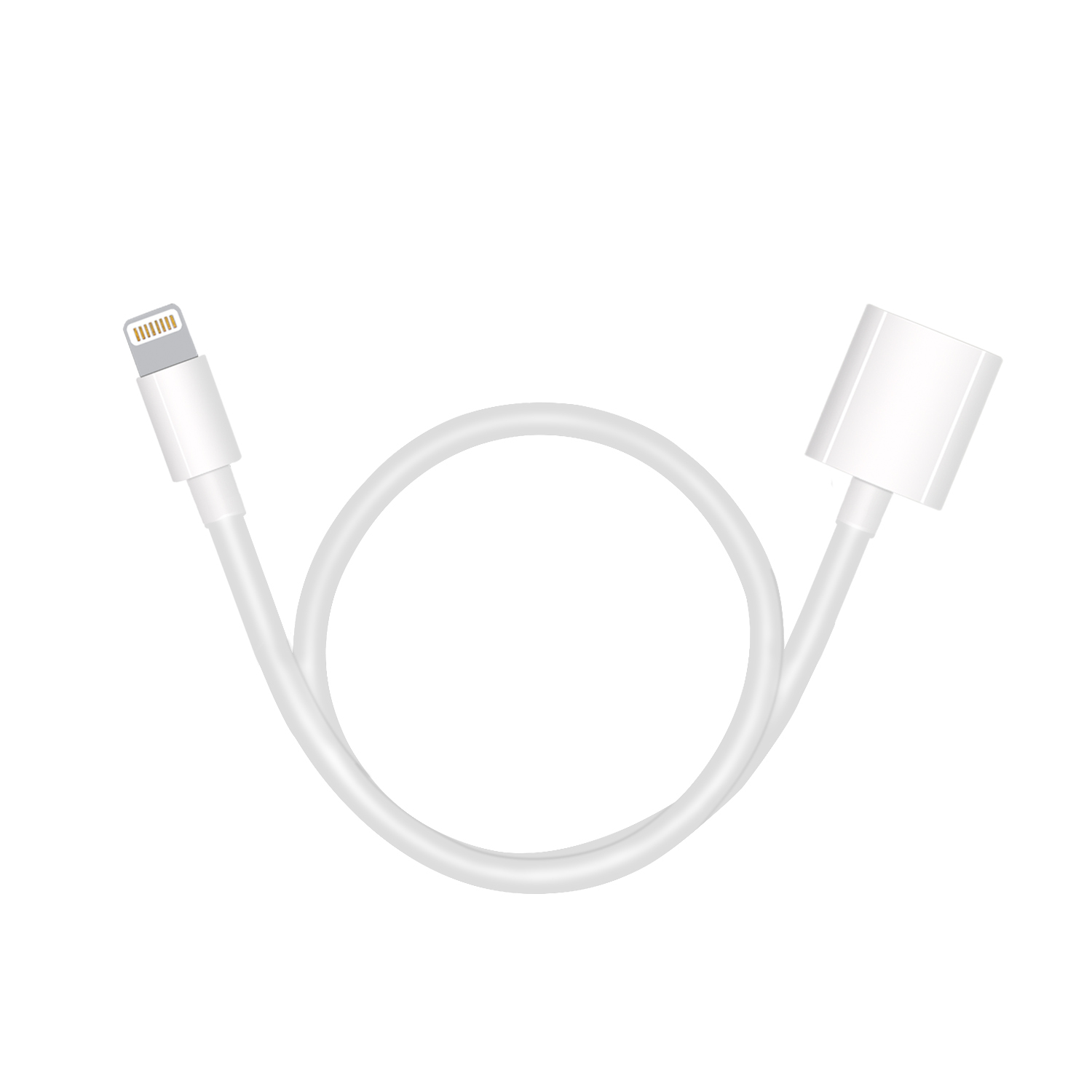 TechMatte Apple Pencil Flexible Charging Adapter for iPad Pro (Cable - 1 Foot)