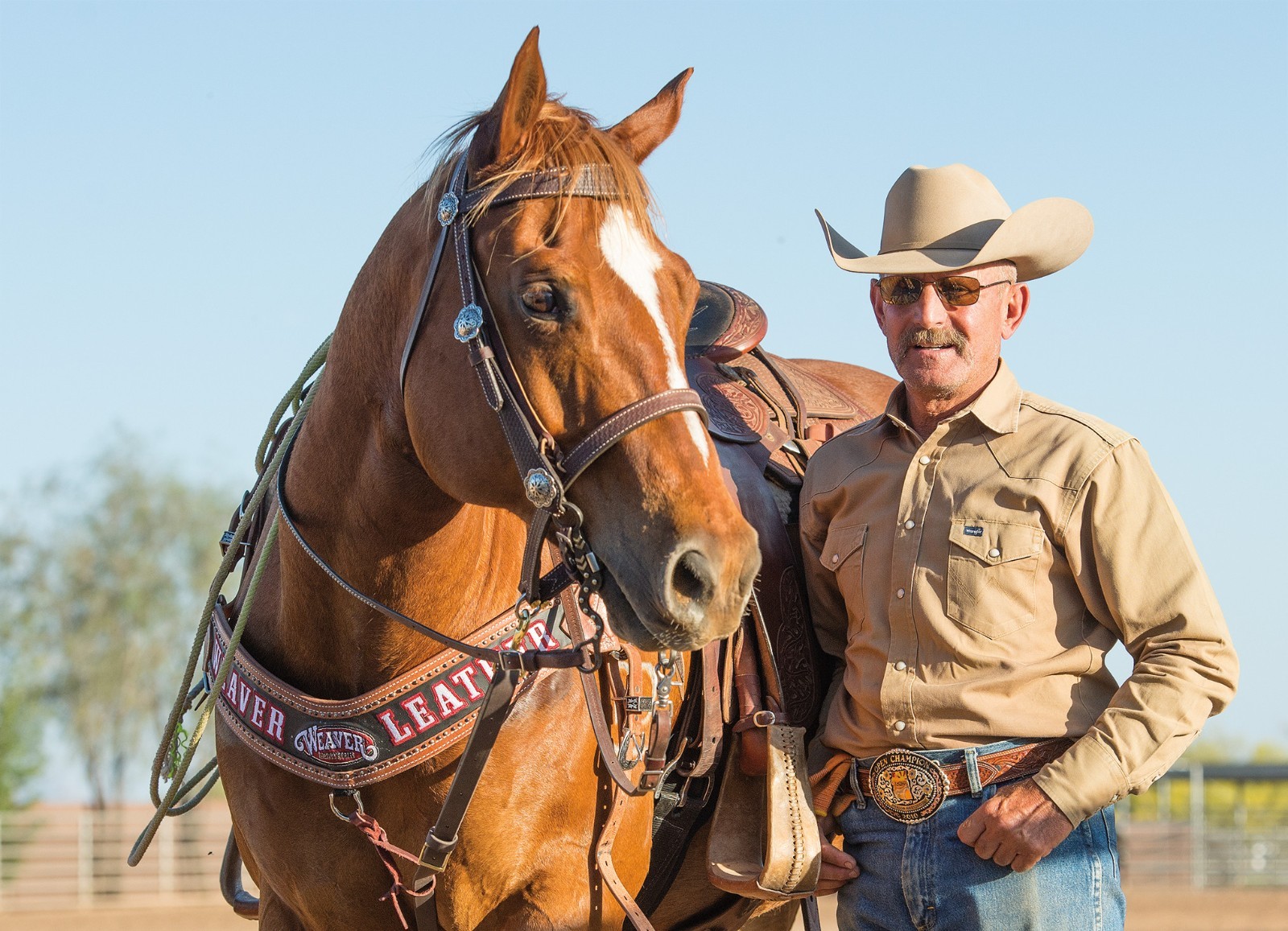 Weaver Leather, Working Tack Roper Rein
