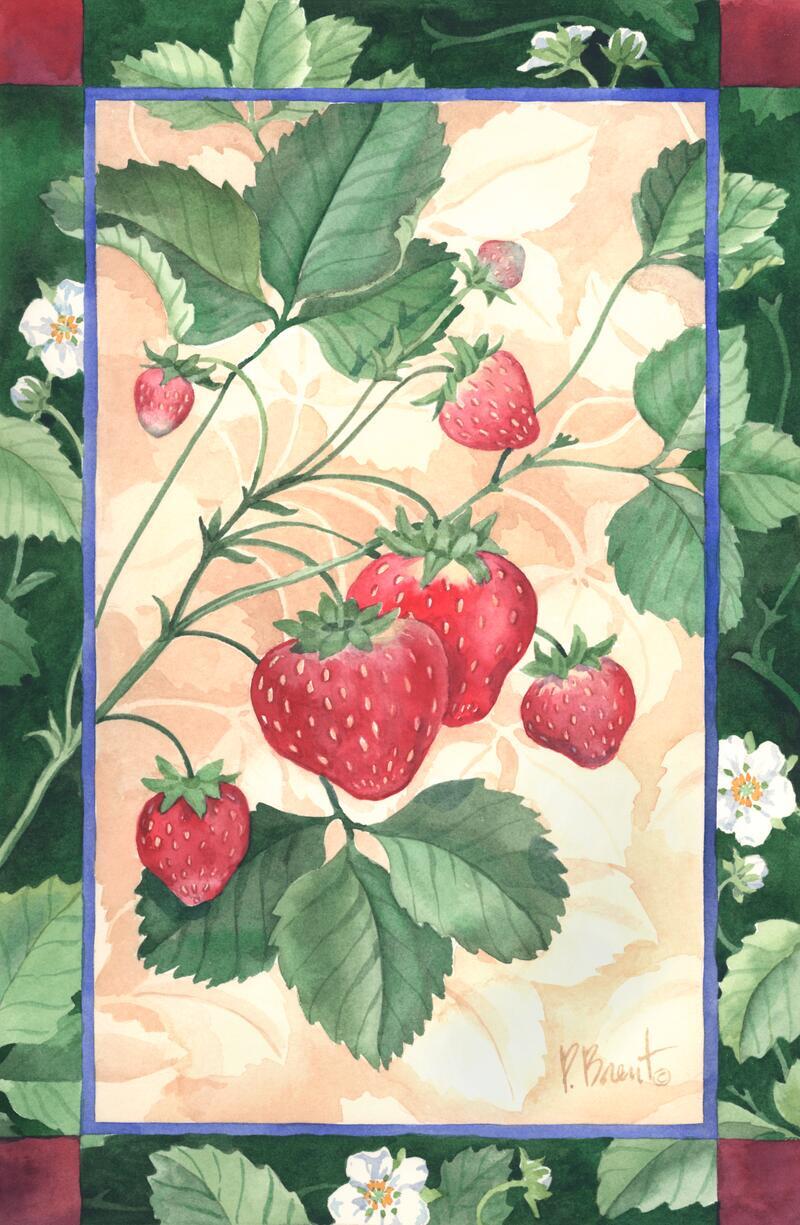 Ceramic Tile Mural Kitchen Backsplash - Scarlet Strawberry - Fruit - Chef - Food