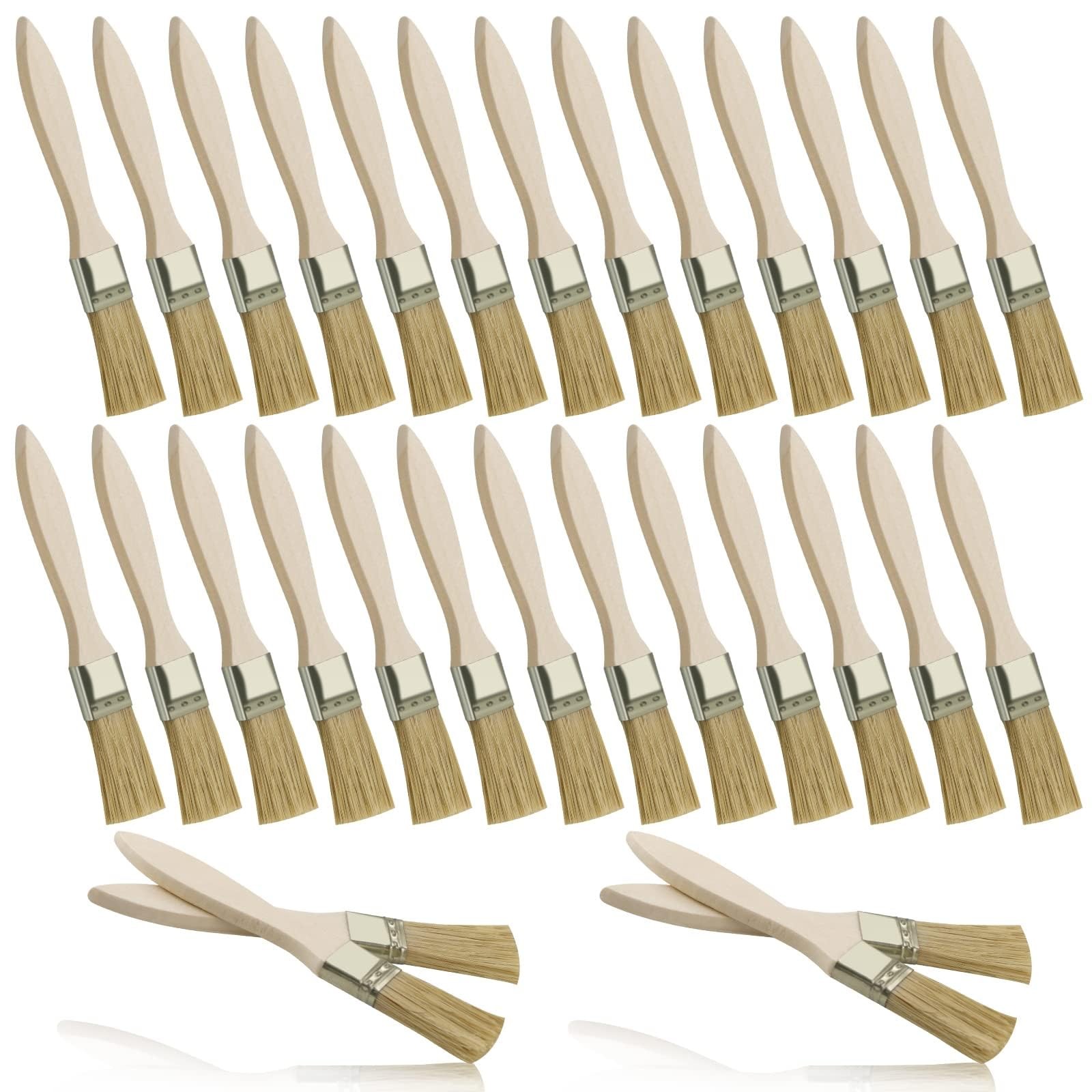 48 Pack 1 Inch Paint Brushes, All-Purpose Chip Brush Set for Painting, Stains, V