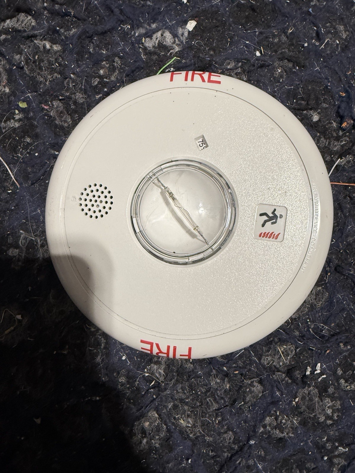 Est Edwards GCF-HDVM Multi CD Ceiling Horn Strobe