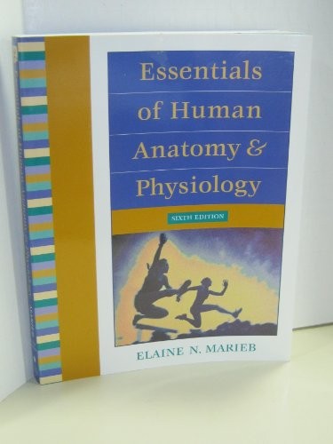 Essentials of Human Anatomy and Physiology (6th Edition) - Paperback - GOOD
