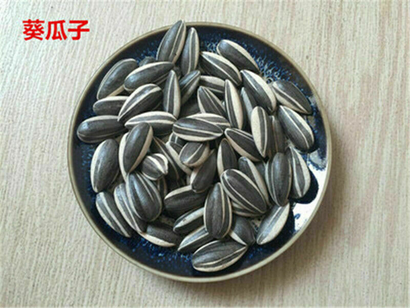 US 100pcs Art Ai Weiwei Porcelain Sunflower Seeds Decoration Collection Ornament
