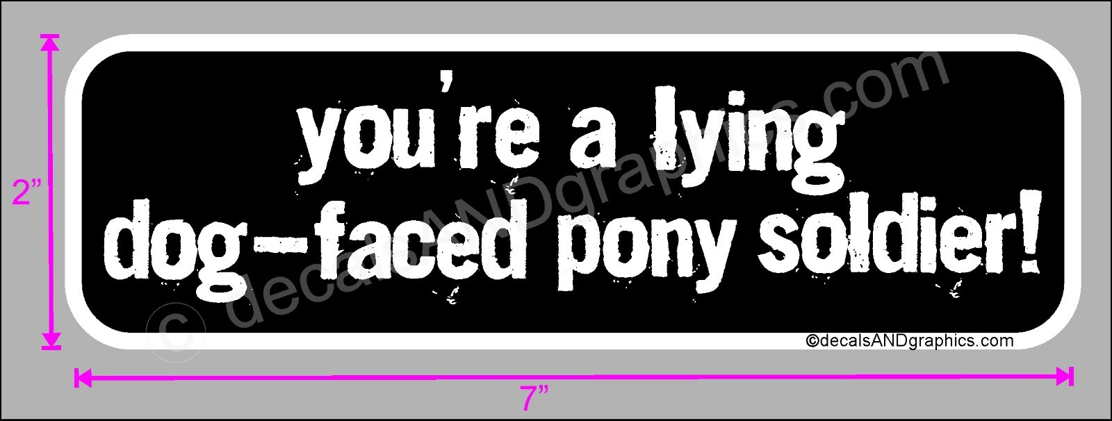 TRUMP 2020 STICKER PONY SOLDIER ANTI DEMOCRAT ANTI JOE BIDEN DECAL
