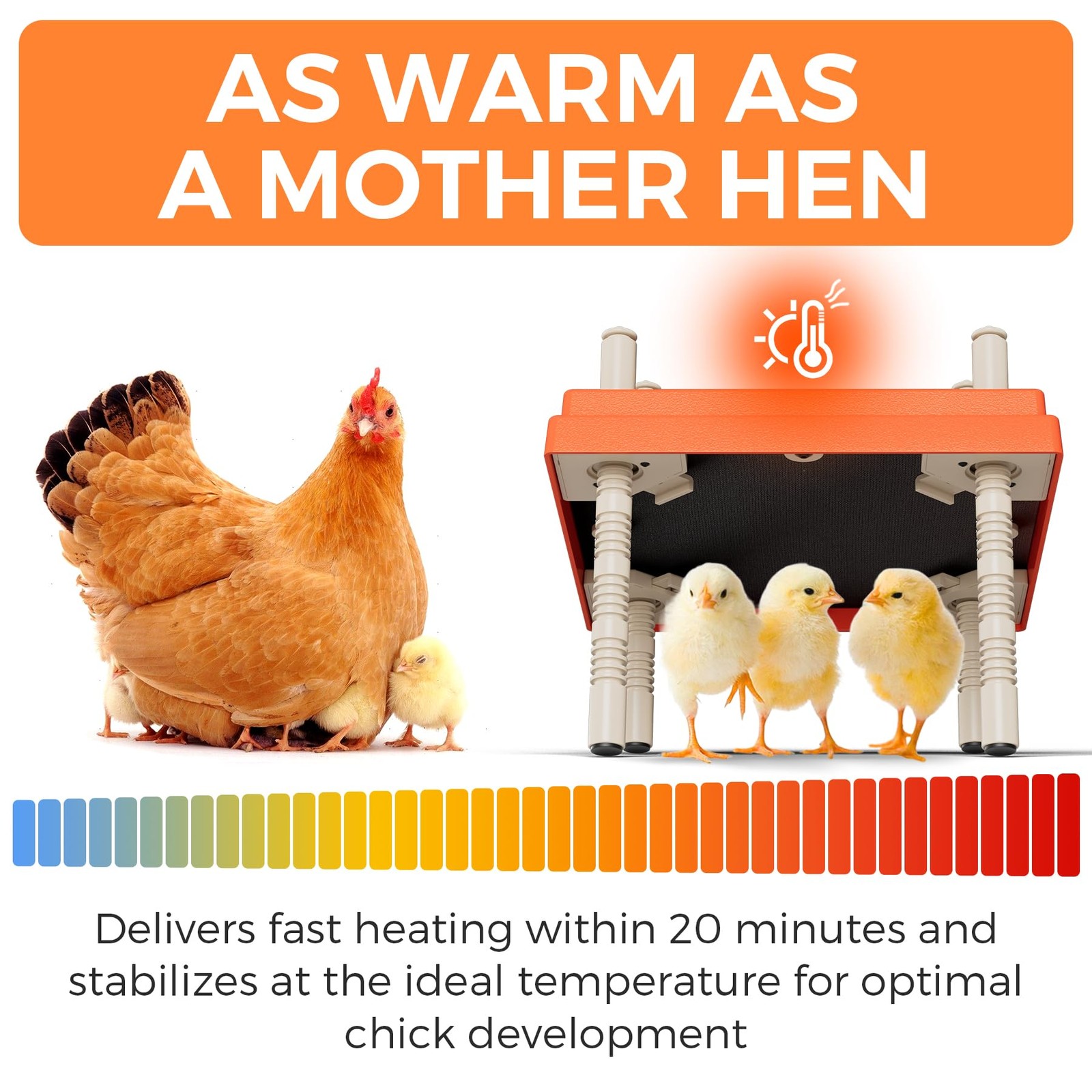 Chick Brooder Heating Plate 10" x 10" with Anti-Roosting Cone, Stepless Adjus...