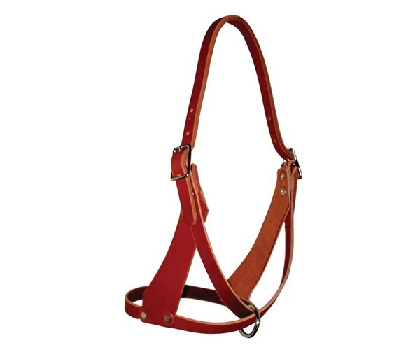 Challenger USA Horse Tack Figure Eight Halter 5/8 wide Full 975N080F
