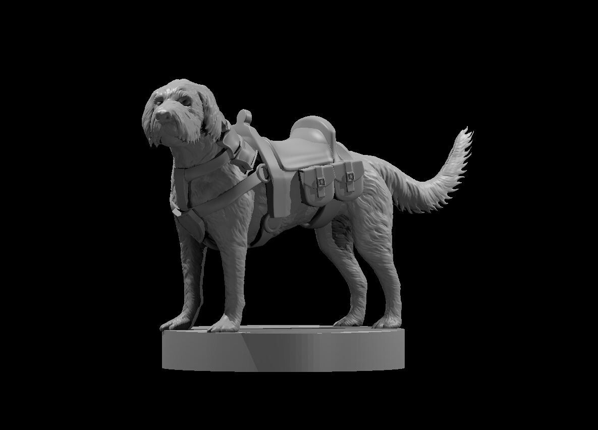 Labradoodle Cockapoo Dog Mount Monster Manual 28mm Scale DND D&D Tabletop Mini