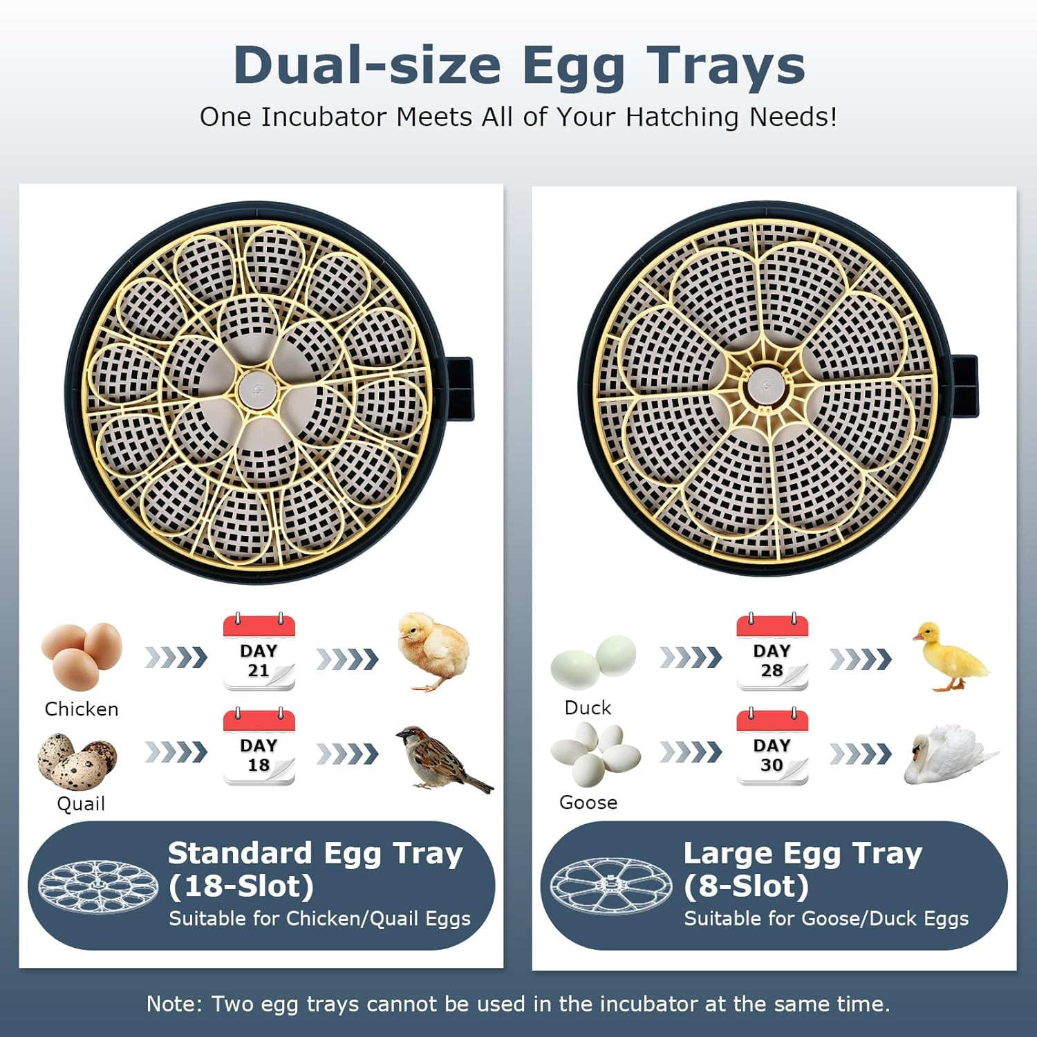Incubators for Hatching Eggs, 18 Eggs Incubator with Egg Candler, Auto Egg Turne