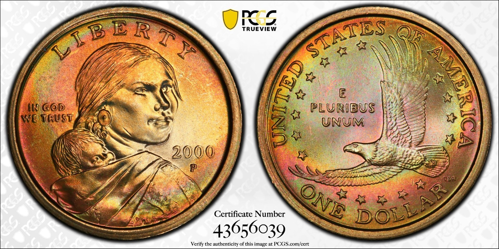 2000 P Sacagawea $1 PCGS MS 66 Monster Rainbow Toned 7070 Type w/ PQ+ Eye Appeal