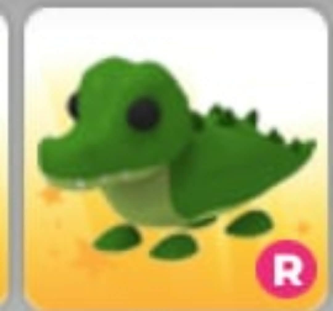 Crocodile | NFR | Adopt Now
