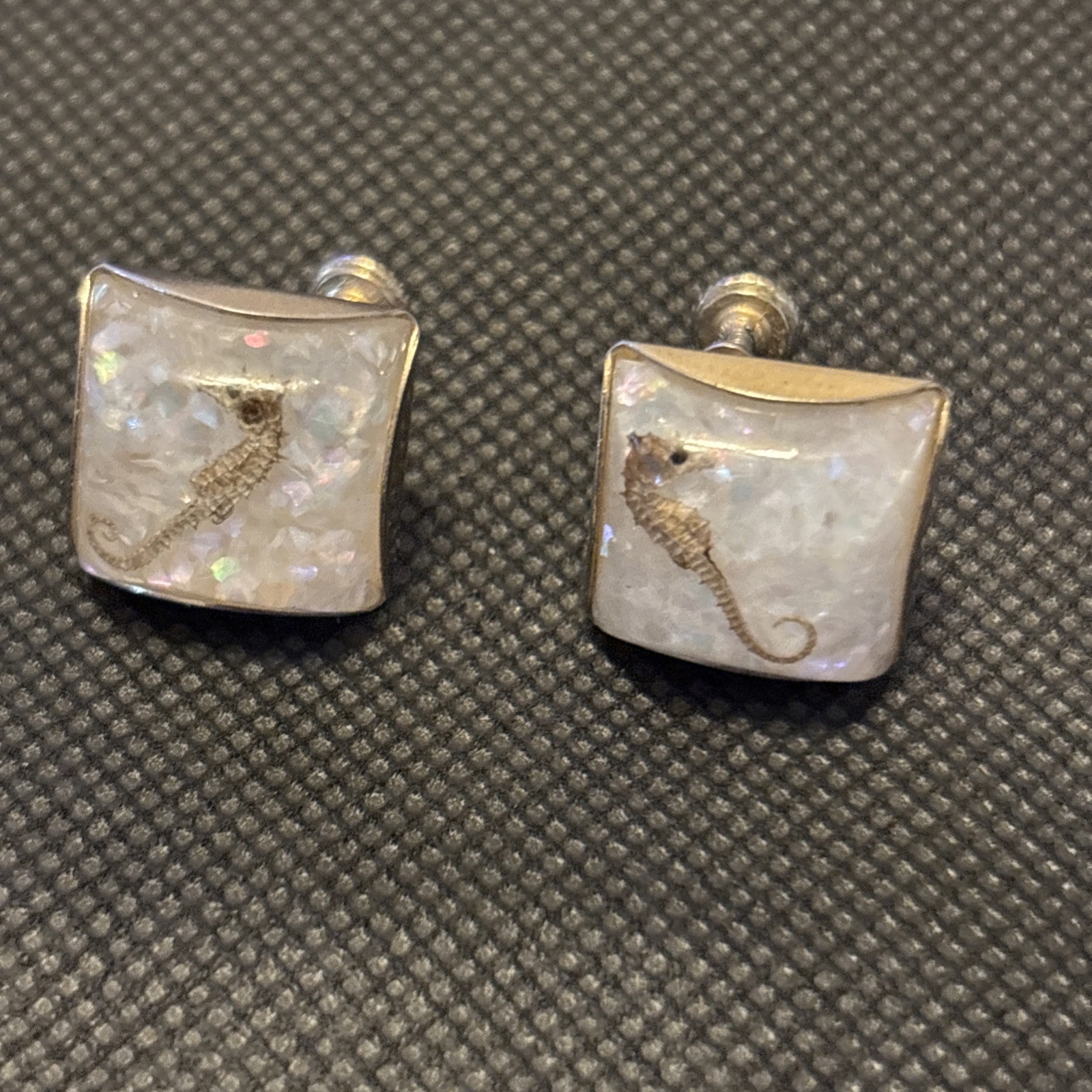 Seahorse Encapsulated Screw-back Earrings