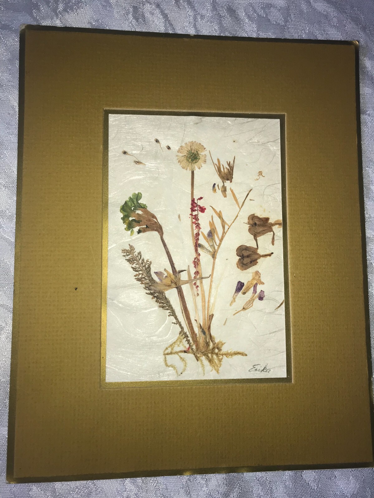 Vintage ERIKA ORIGINALS ABC Switzerland PRESSED Dried FLOWER Signed ART Matted