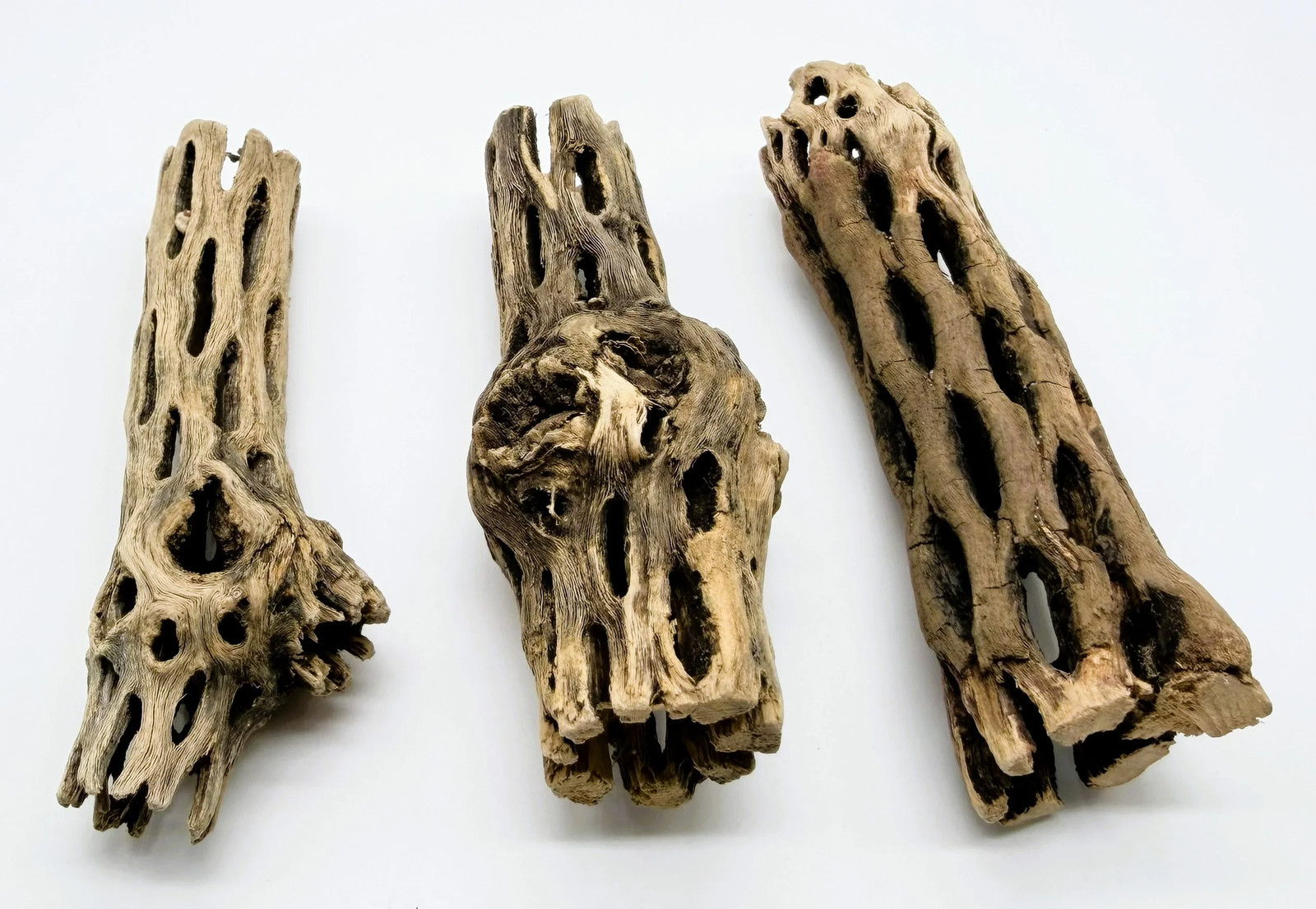 4 Inch Cholla Wood Aquarium Decor for Shrimp & Betta Fish 3 Pack