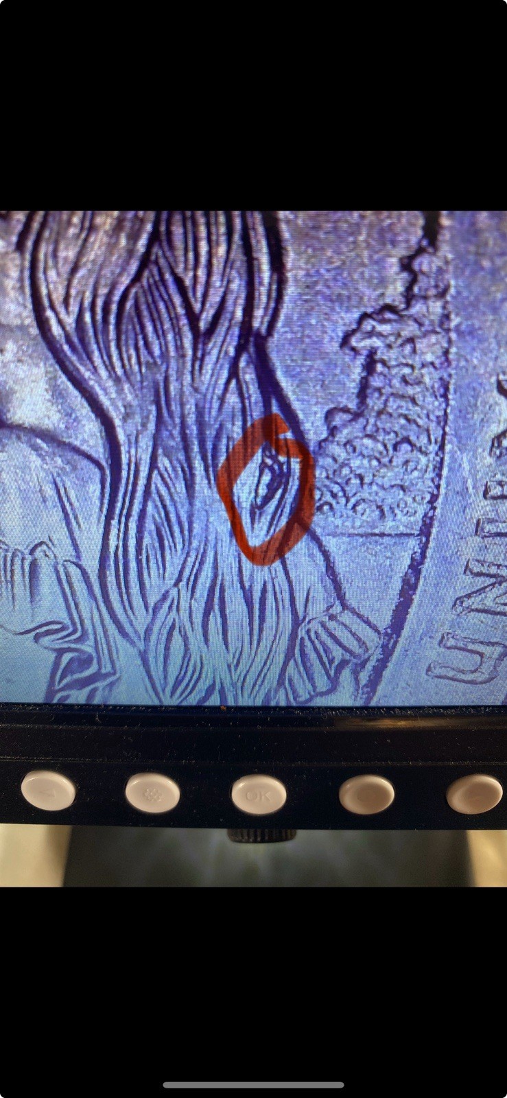 🔥2019 P AMERICAN MEMORIAL PARK QUARTER With Several TypeTypes of Errors🔥