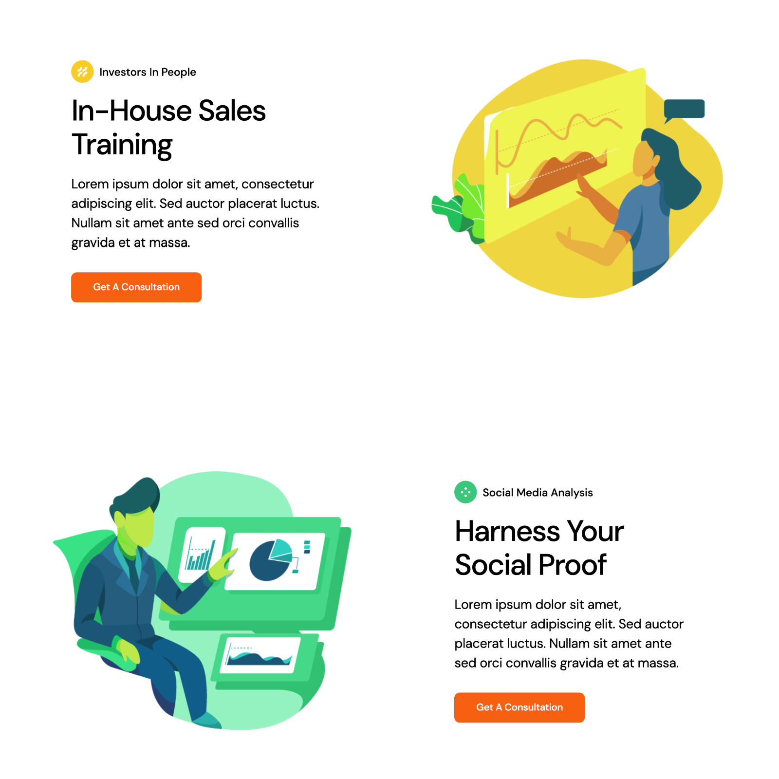 Marketing Consultant Website Design with Free VPS Web Hosting and Installation