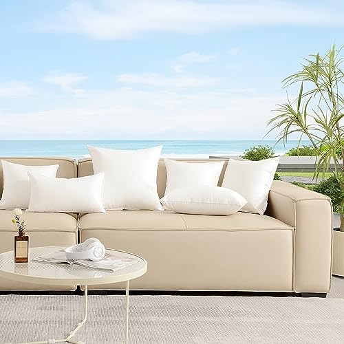 24x24 Outdoor Pillow Inserts (Pack of 2) - Square Waterproof 24 x 24 (2 Packs)