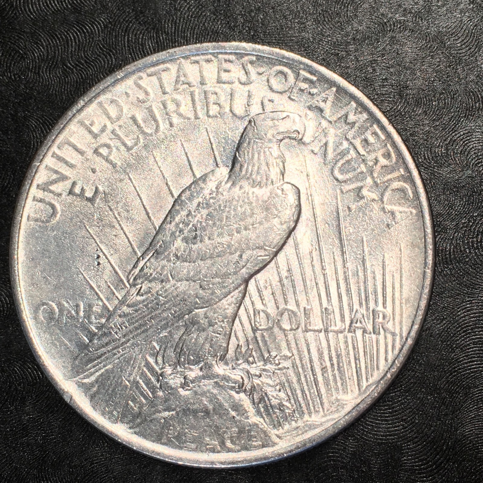 1922 Peace Silver Dollar - Nearly Uncirculated - High Quality Scans #E413