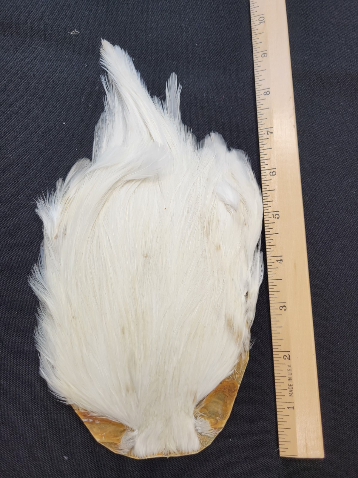 Lot 14,  Top Quality Dyed WHITE India Rooster Streamer Neck Cape Feathers