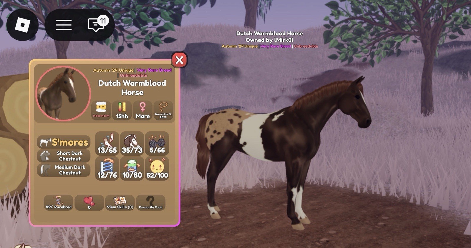 Dutch Warmblood Horse Very Rare Breed Autumn '24 Unique 45% Purebred Mare