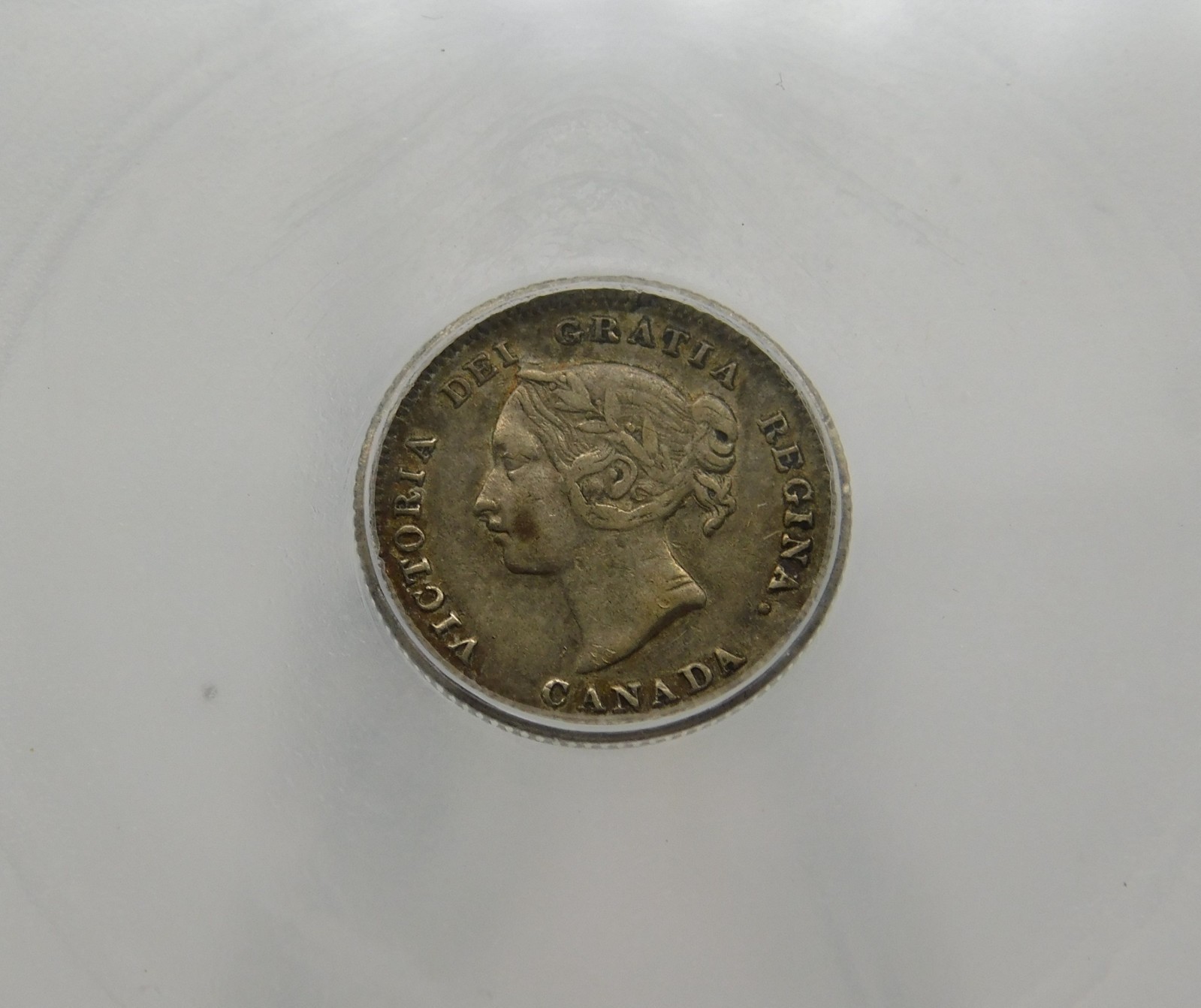 1880-H CANADA FIVE CENT ICG VF30 (BT1174)
