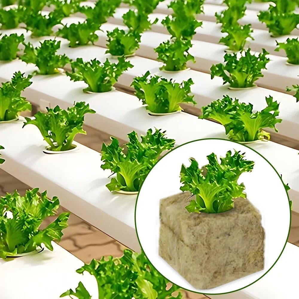 Stonewool Hydroponic Grow Media Cubes Plant Cube Soilless Substrate Seeded Plant