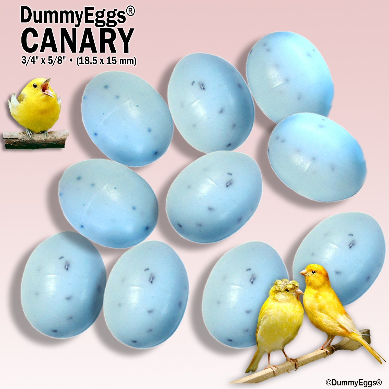 DummyEggs 10 CANARY PLASTIC BIRD EGGS STOP LAYING! Non-Toxic Speckled Blue USA