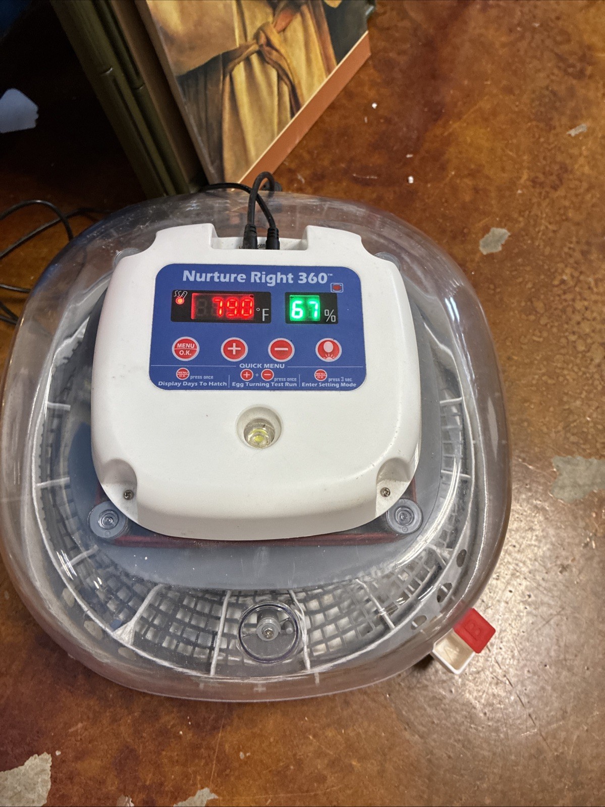 Nurture Right EGG INCUBATOR - Holds 22 Eggs for Optimal Hatching with 360° View
