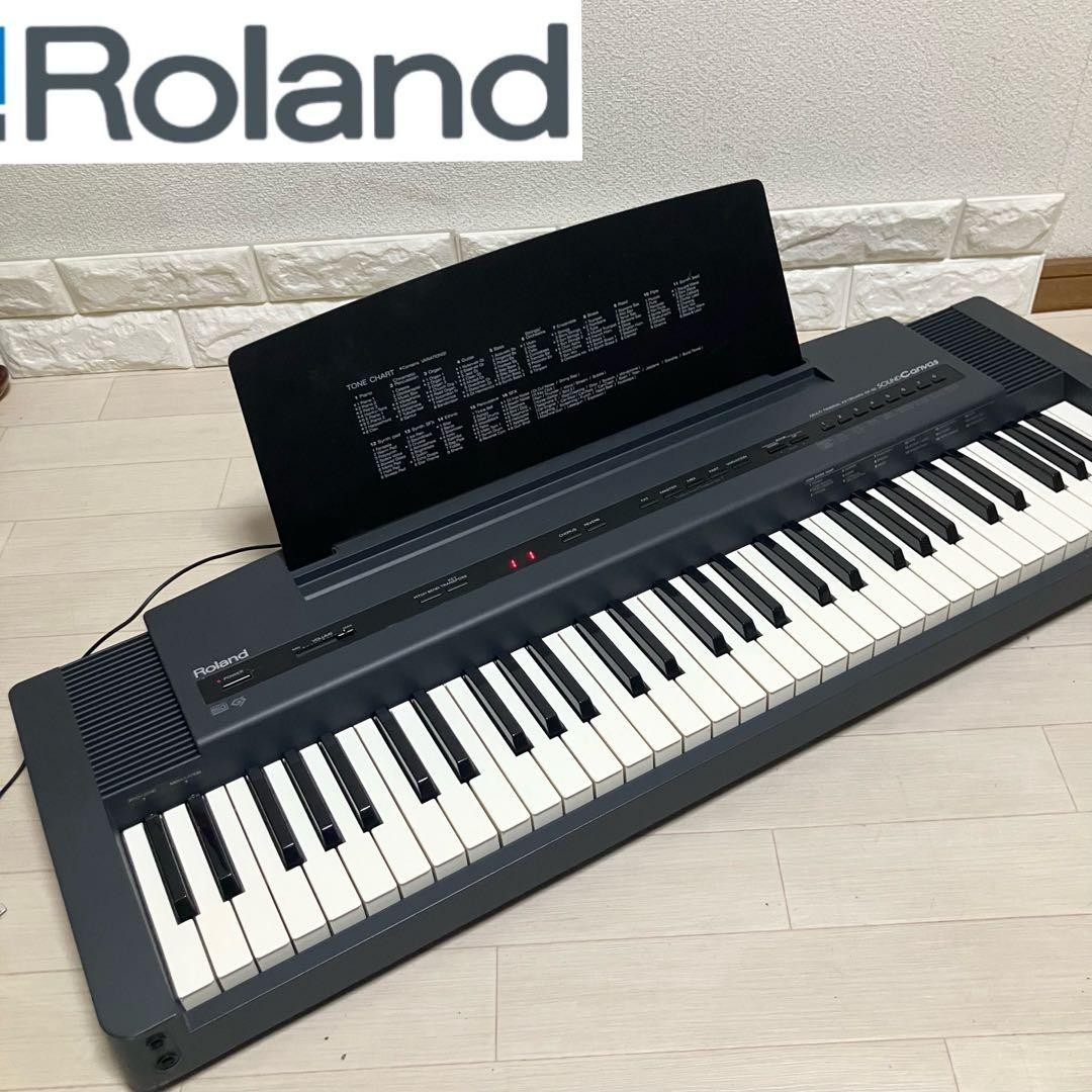 Roland SK-50 Sound Canvas 61-Key Keyboard w/Adapter Stand Tested Working 100V