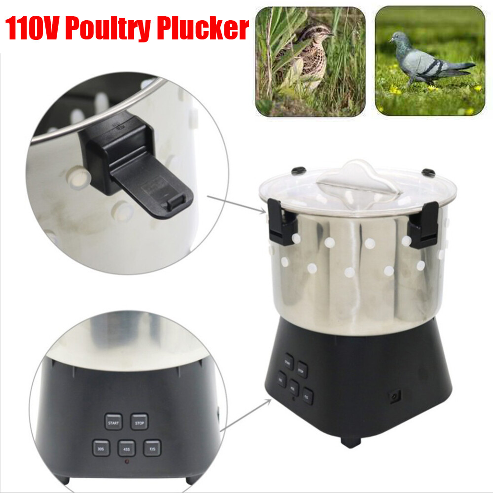 110V Poultry Plucker Chicken Birds Depilator Dove Feather Small Plucking Machine
