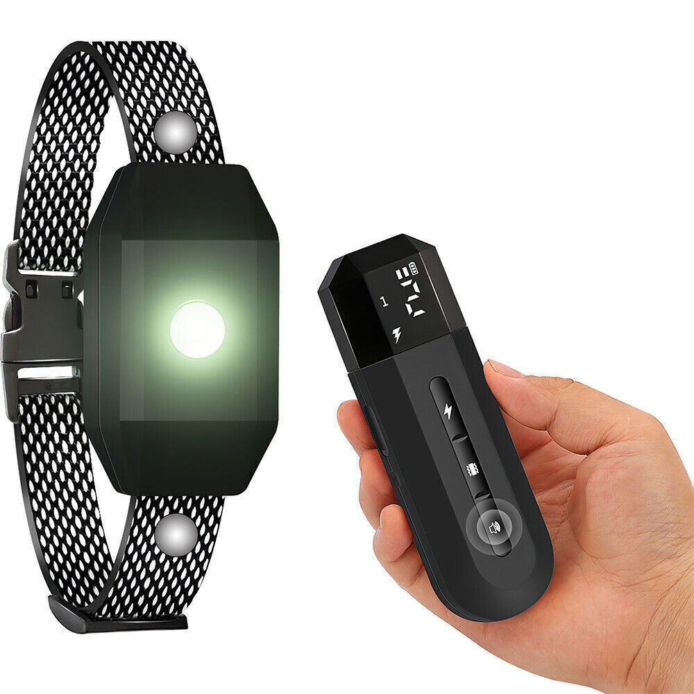 Dog Training Collar with Remote Rechargeable Waterproof LCD Pet Dog Shock Collar