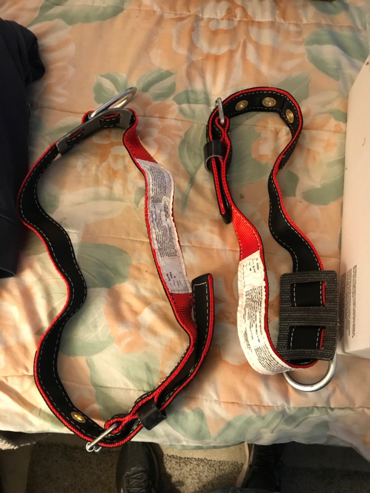buckingham harness