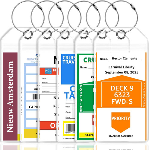 6 Pack Cruise Luggage Tag Holders, Clear Plastic Tags