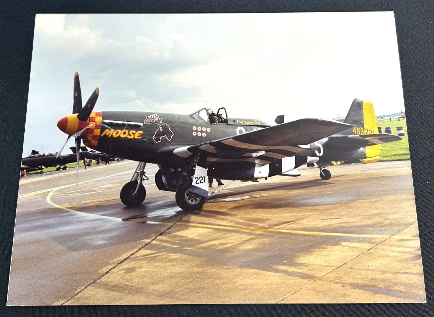 WWII USAAF P-51 Mustang Print