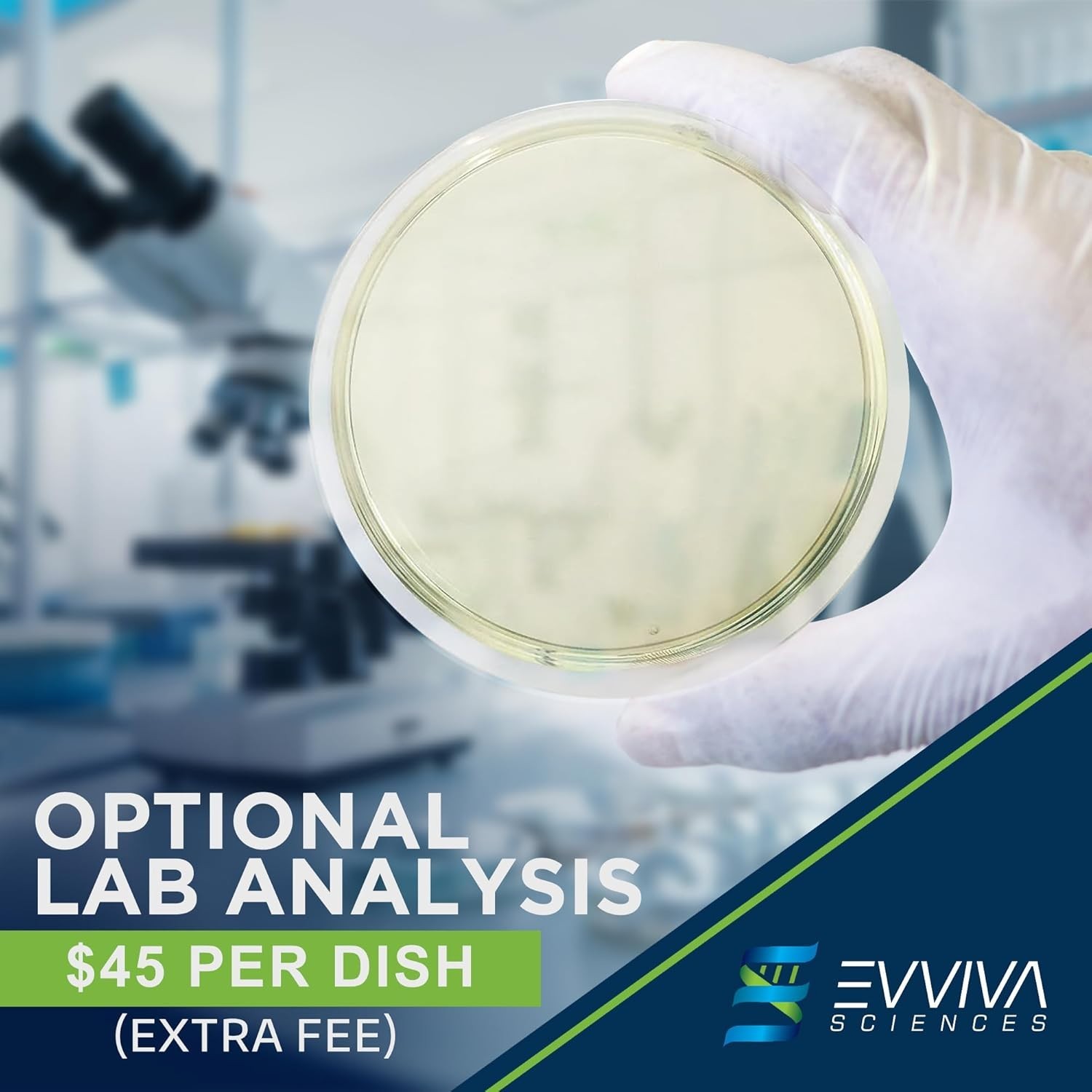 Evviva Sciences Mold Test Kit for Home-10 Simple Detection Tests-Optional Lab